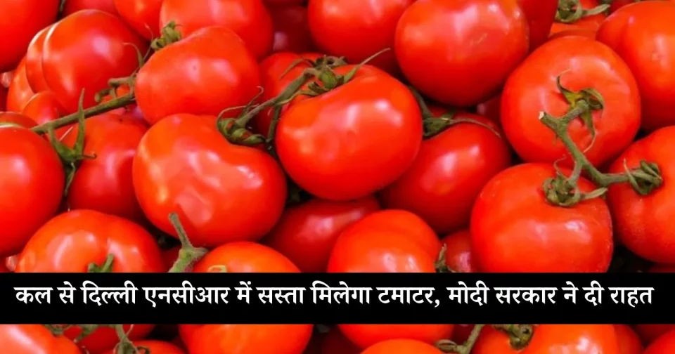 Tomato will be sale at cheaper price in Delhi NCR